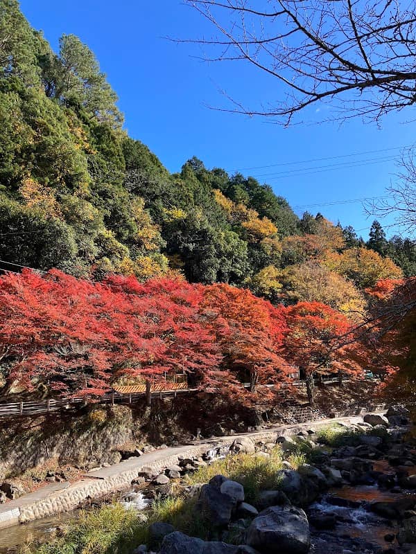 日近の里 - Image 1