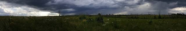 Pleasant Run Creek Prairie - Image 2
