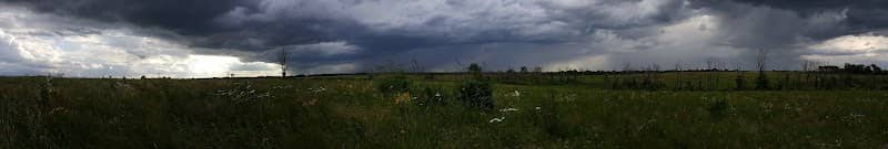 Pleasant Run Creek Prairie - Image 2