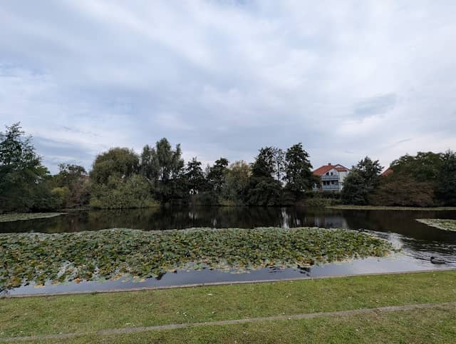 Zuckersee - Image 1