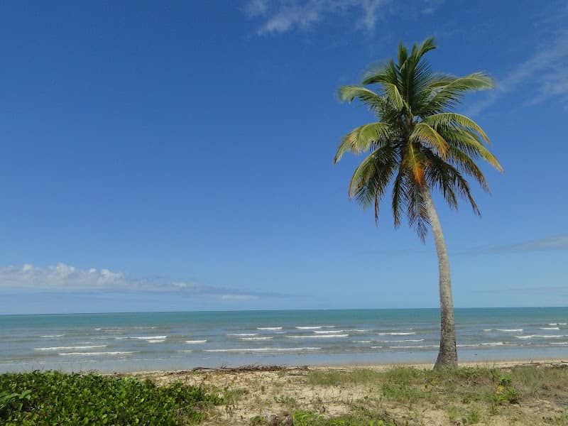 Coqueiro Solitario - Image 1