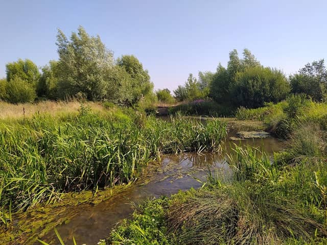 Râul Dâmbovnic - Image 1