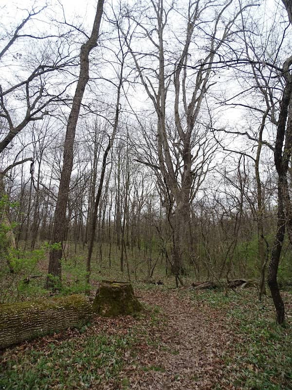Moulin Trail - Image 1