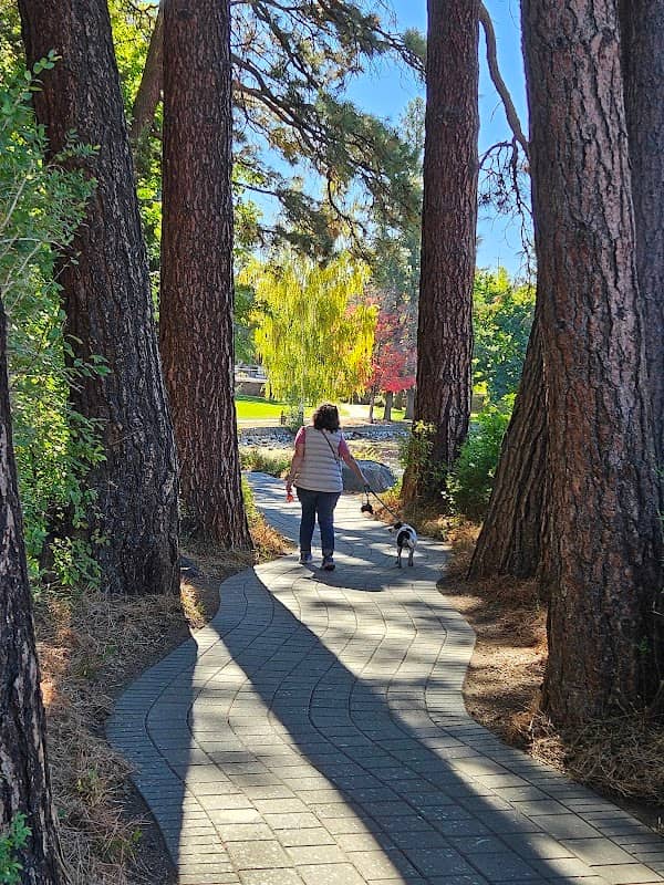 Pioneer Park - Image 2