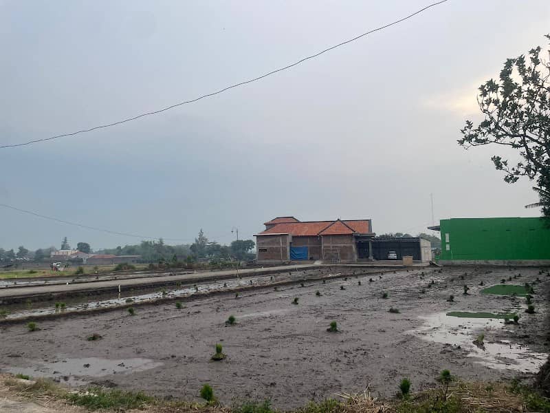 Sawah Hasby - Image 1
