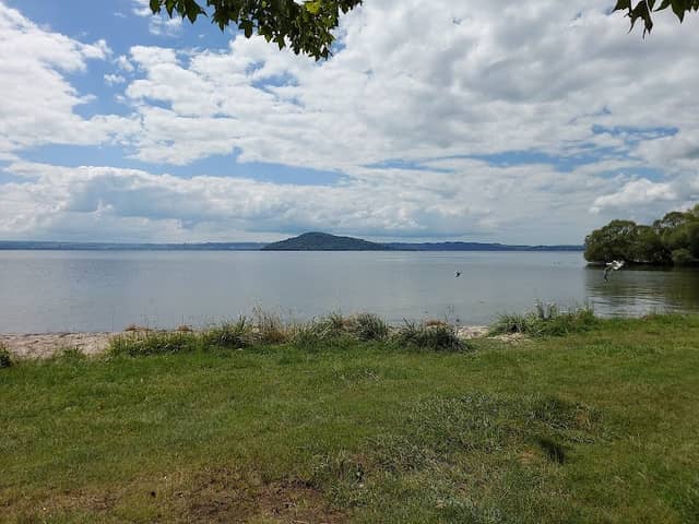 Holden's Bay Reserve - Image 1