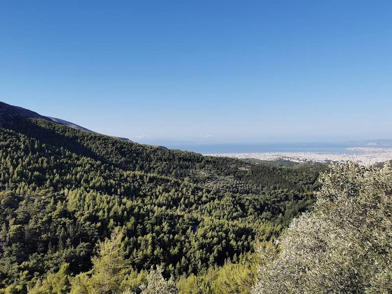 Hymettus, Kesariani & Vyronas Aesthetic Forest - Image 2