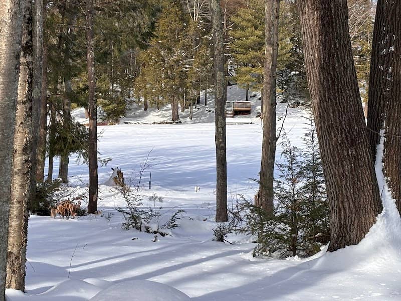 Baxter Lake Recreation Area - Image 2