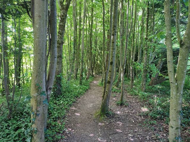 Athlumney Riverside Walk - Image 1