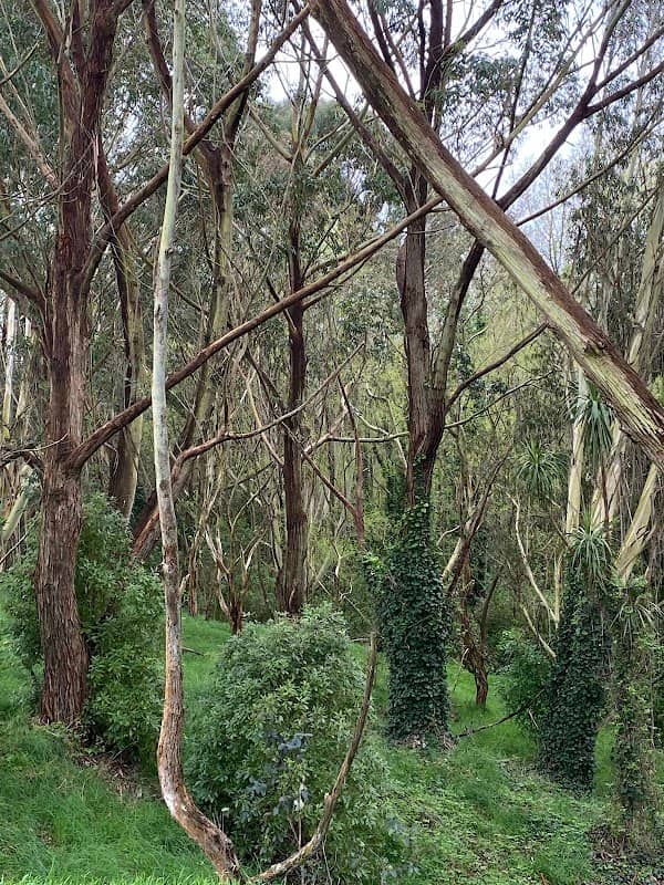 Poutoa Reserve - Image 2