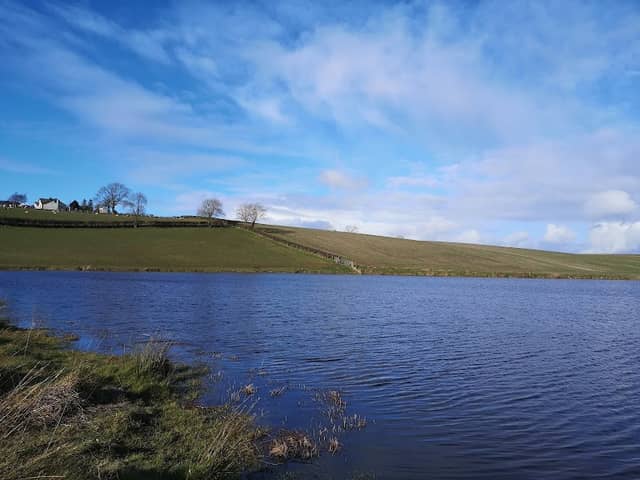 Mc Courts Lough - Image 1