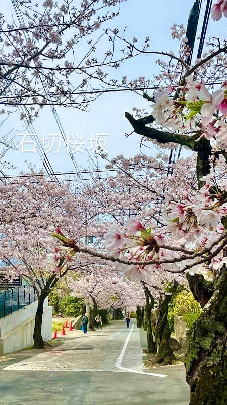 石切桜坂 - Image 1
