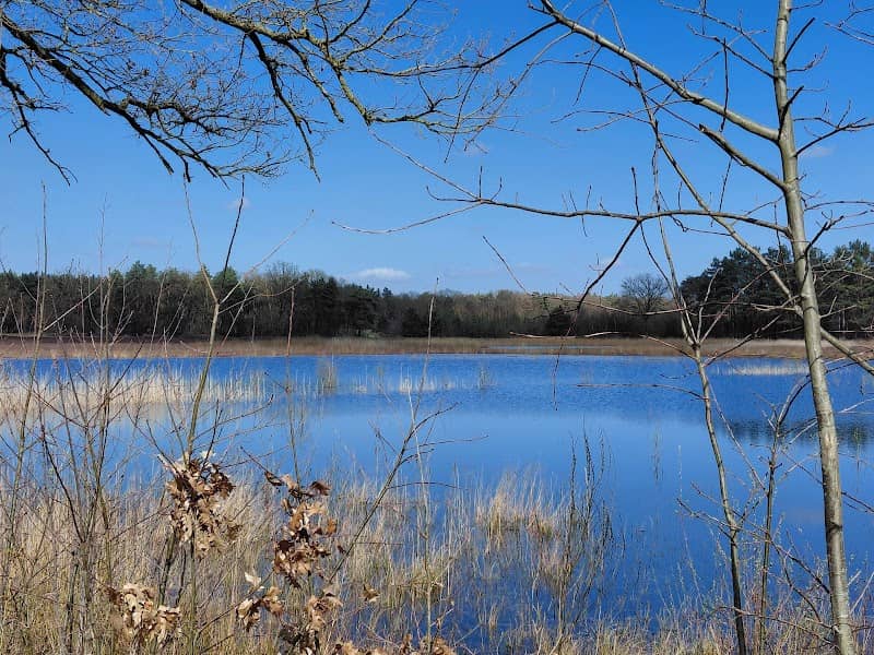 Natuurgebied Noordijkerveld - Image 1