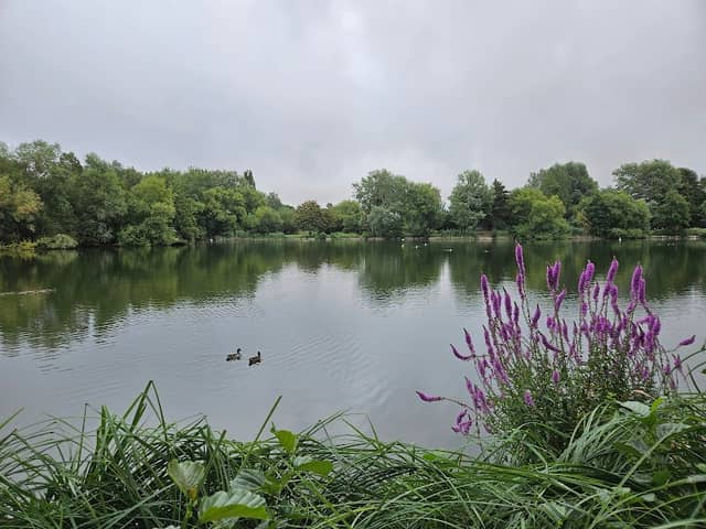 Needham Lake Local Nature Reserve - Image 1