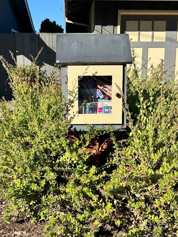 Little Free Library - Image 1