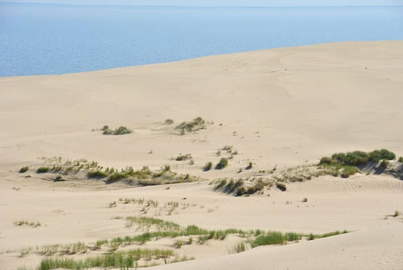 Ef Dune - Image 1