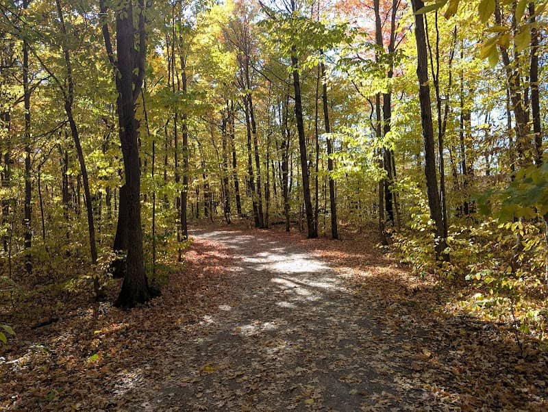Tremblay Woodlands - Image 2