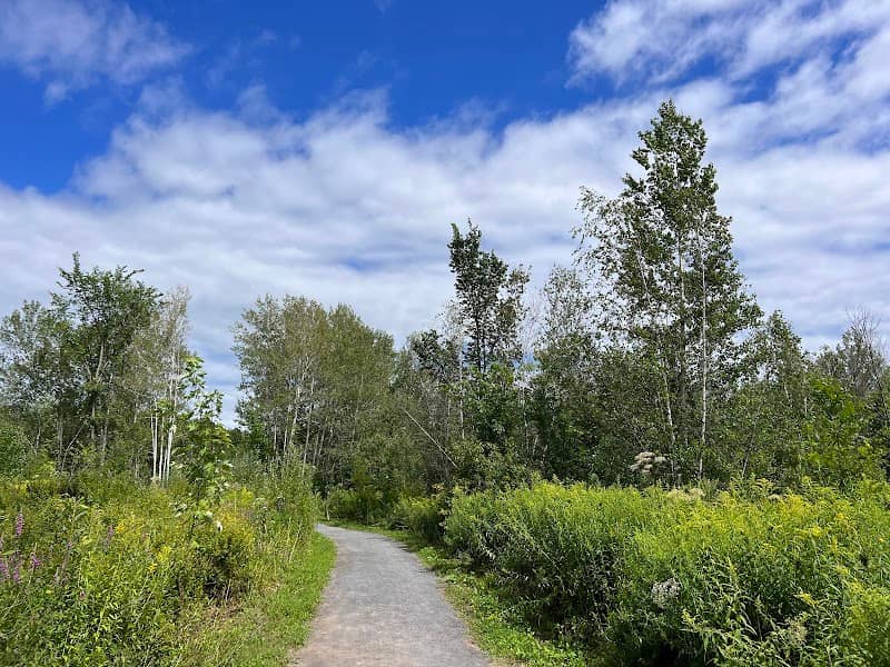 Tremblay Woodlands - Image 1