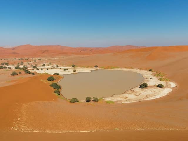 Big Mamma Dune - Image 1