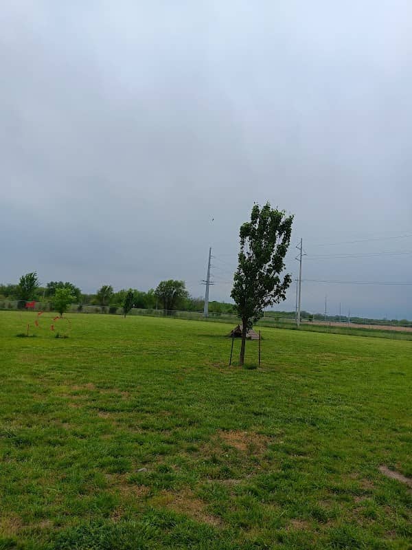 Bailey's Barking Dog Park - Image 3