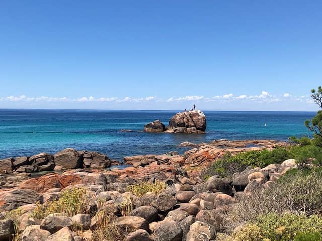 Gannet Rock - Image 1