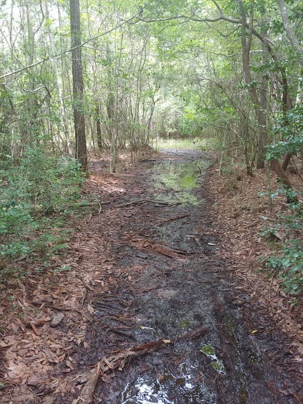 Neusiok Trail Parking - Image 1