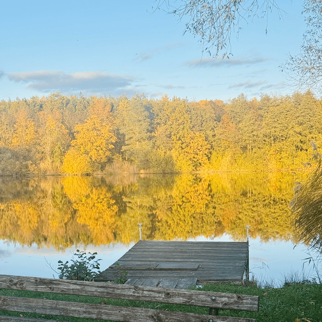 Badesee - Image 1