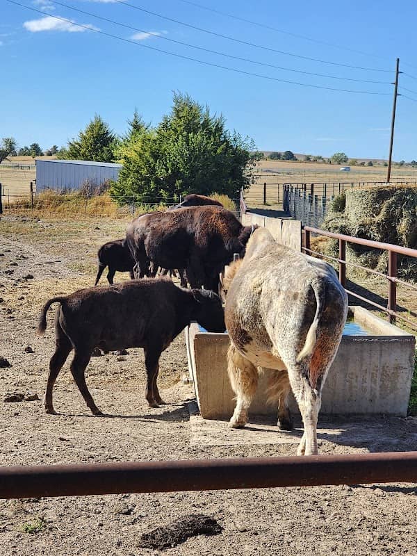Frontier Historical Park - Image 1