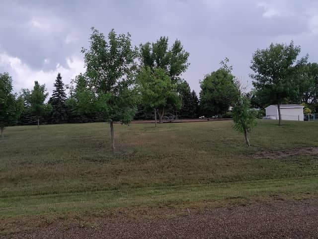 LIgnite Park - Image 1