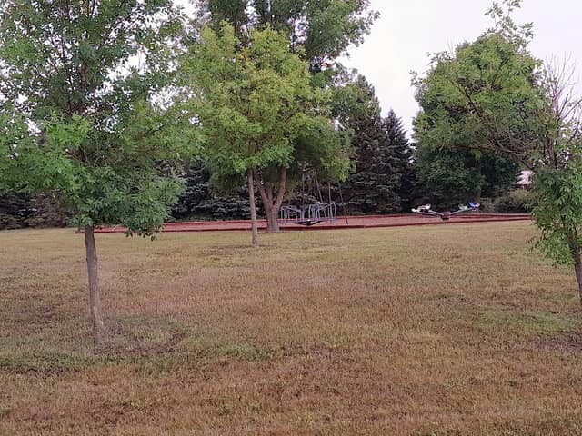 LIgnite Park - Image 2
