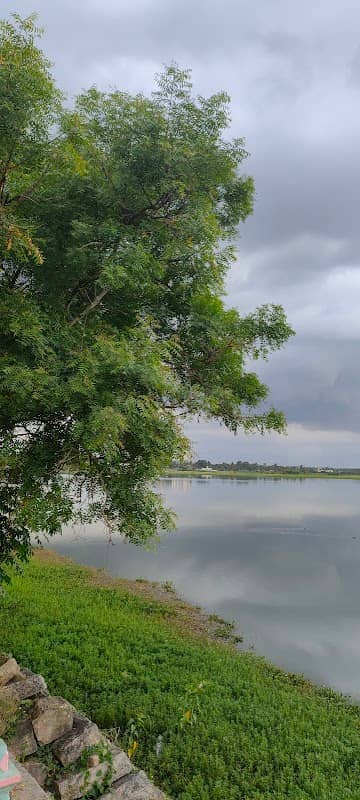 Hoskote Lake View Point - Image 2