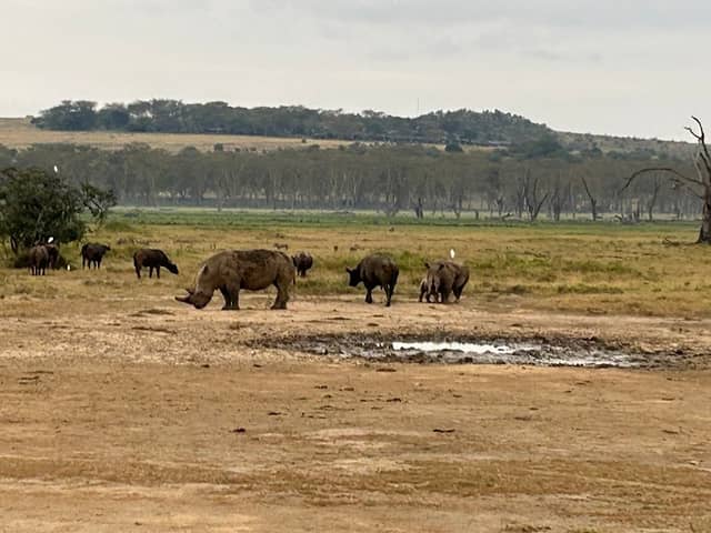 Lake Nakuru Lanet Gate - Image 2