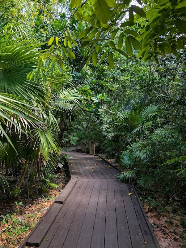 Key West Tropical Forest & Botanical Garden - Image 1