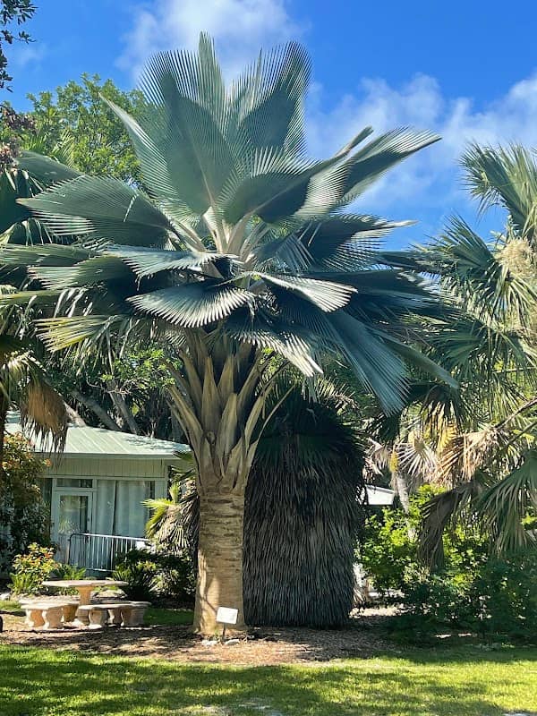 Key West Tropical Forest & Botanical Garden - Image 3