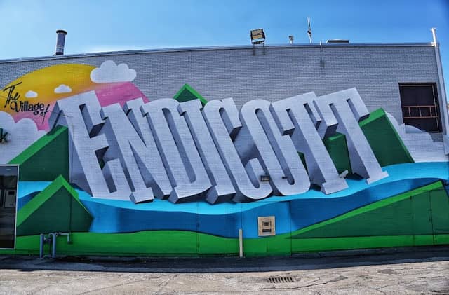 Endicott Mural - Image 1