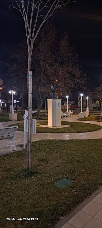 Statuia lui Mihai Eminescu - Image 2