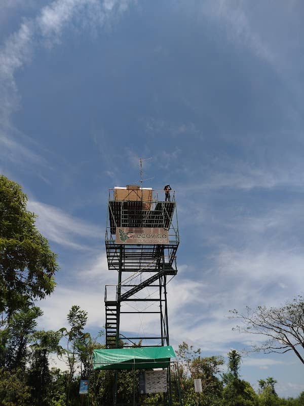 Ecovida Hawkwatch - Image 1