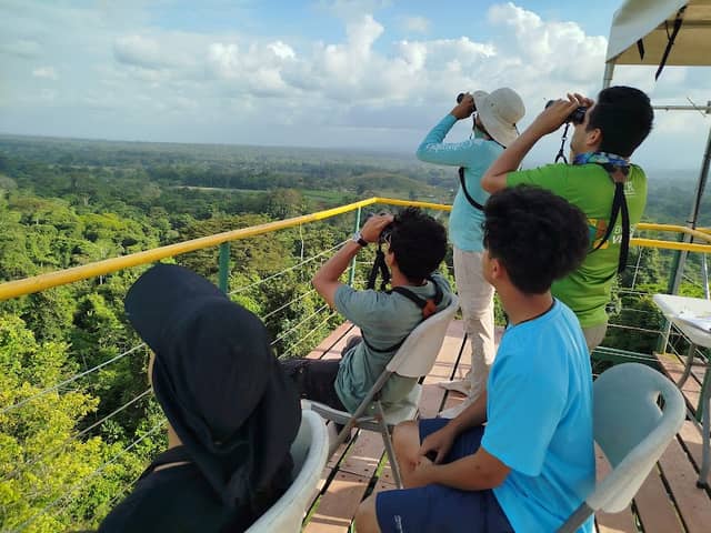 Ecovida Hawkwatch - Image 3