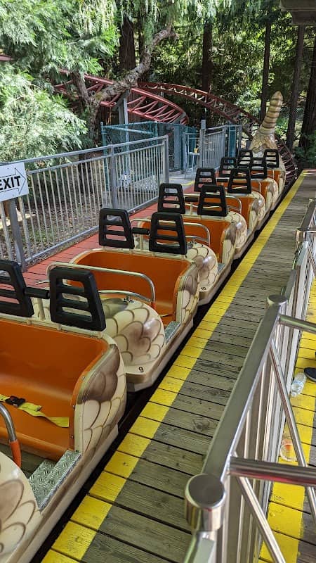Timber Twister Coaster - Image 2