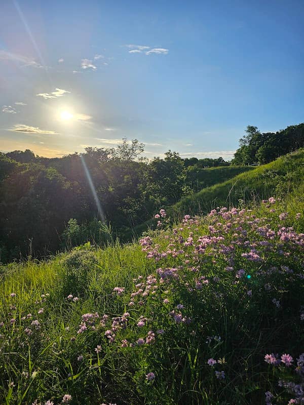 Elk Point Overlook - Image 1