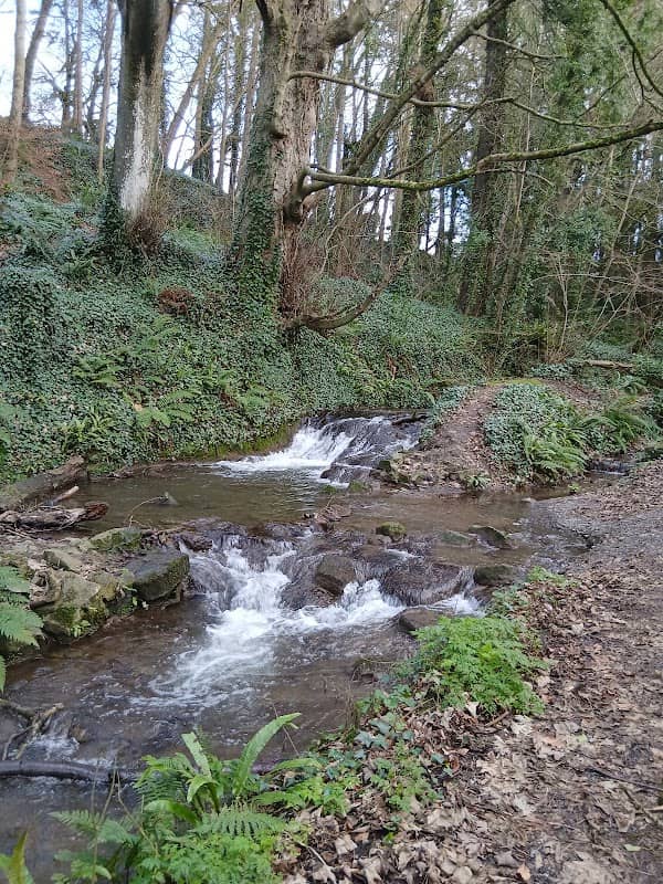 Falls - Image 1
