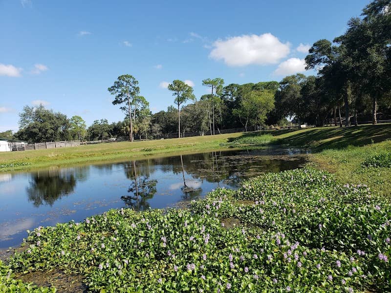 Loyd Tingler Park - Image 1