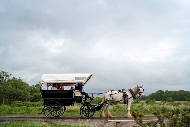 Killarney Lakeside Carriage Tours - Image 3