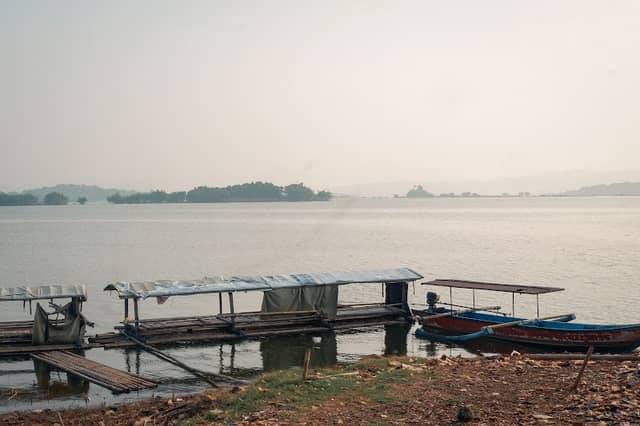 Darmaga munjul - Image 1