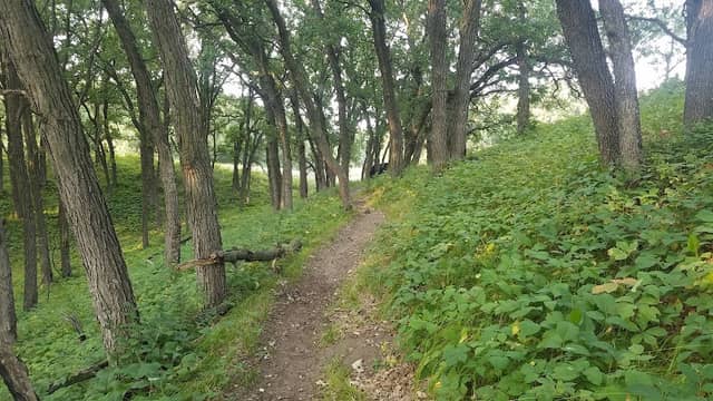 Hankinson Hills Trail - Image 2