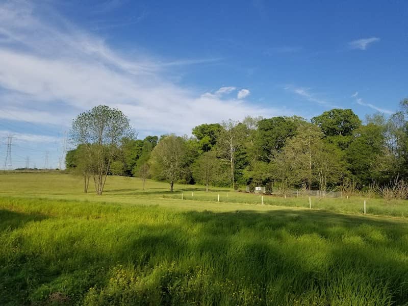 Irish Buffalo Creek Greenway - Image 2