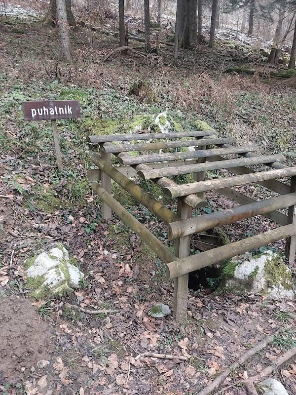 Puhalnik pri Jazbini - Image 1