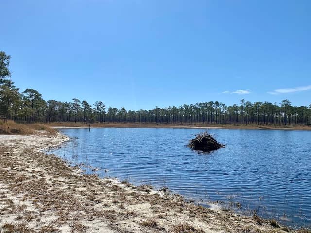 Patsy Pond Nature Trail - Image 2