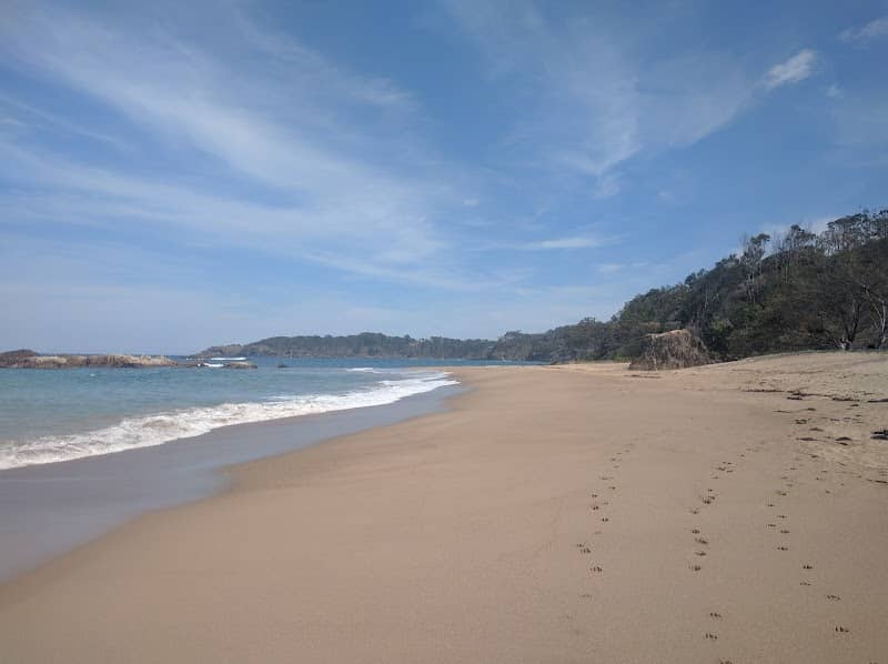 Hills Beach - Solitary Islands Coastal Walk - Image 3