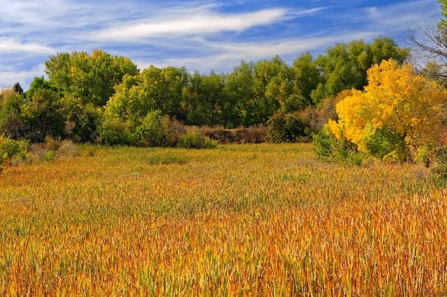 Two Ponds National Wildlife Refuge - Image 3